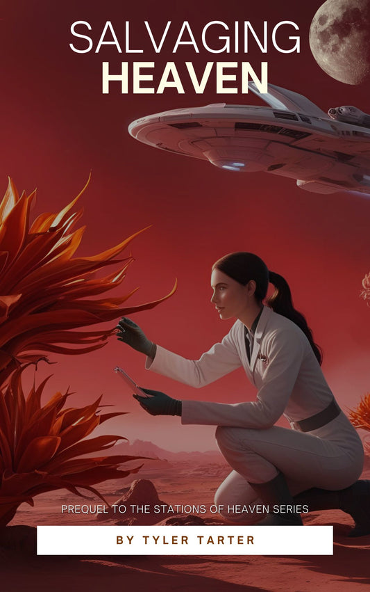 Salvaging Heaven Ebook